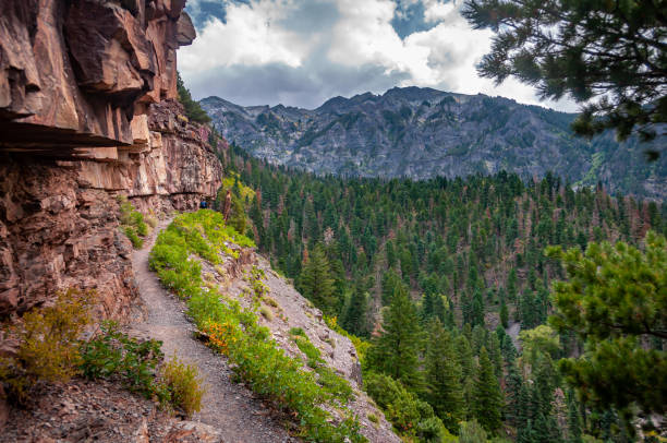 istock Perimeter Trail in the San Juan Mountains 1440993534