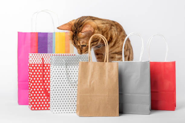 istock Domestic cat among multi-colored packages on a white background. 1440994700