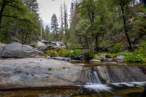 istock Hiking via the Carlon falls trail (Groveland) to the fall 1440994744