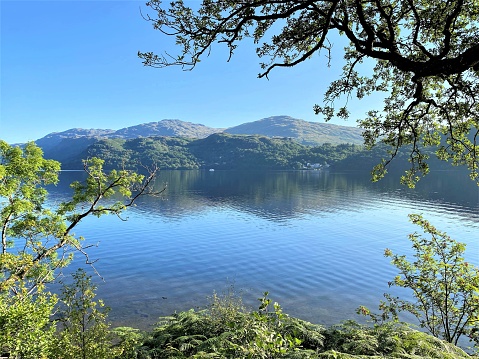 A view of Loch Lomond in the summer