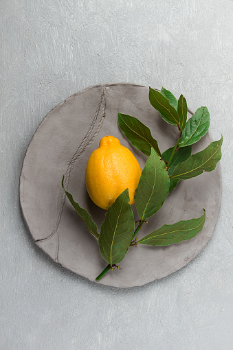 A branch of fresh bay leaf, with lemon, on a gray plate, food concept, top view, no people,