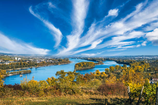istock The Rhine near Bingen/Germany 1440996613