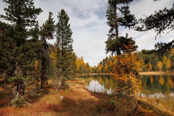 наир леу - engadine alps landscape autumn european alps стоковые фото и изображения