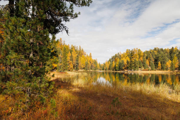 nair leu - engadine alps landscape autumn european alps stock-fotos und bilder