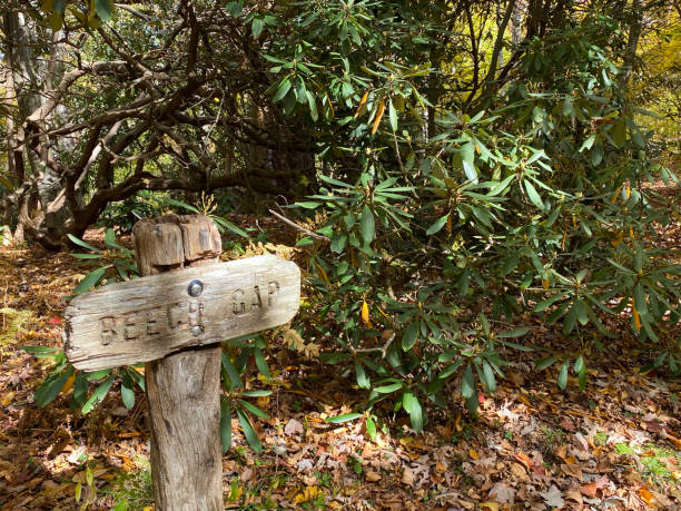 istock Sign for Beech Gap on the Appalachian Trail 1440997461