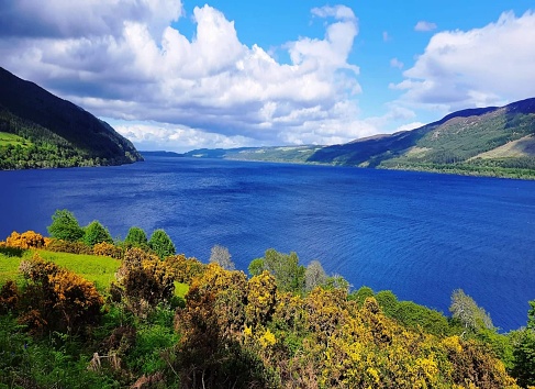 Loch Ness is a large freshwater loch in the Scottish Highlands extending for approximately 37 kilometres (23 miles) southwest of Inverness.