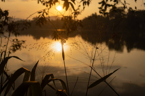 istock Beautiful Sunset in Sri Lanka 1440998602