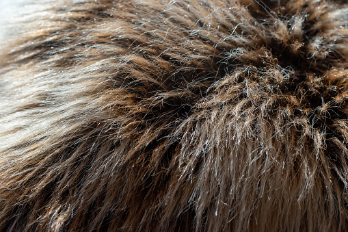 Grey-brown faux fur with long pile. Close up