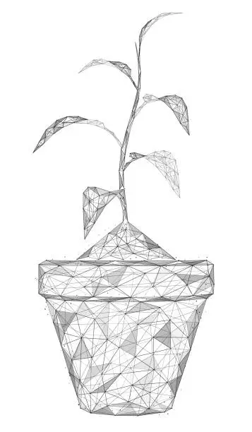 Vector illustration of Seedling in a flower pot.