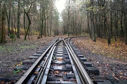 Railroad in the forest. Perspective. The paths diverge. Turn