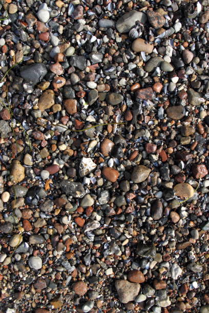 istock colorful pebbles on the beach 1441005922