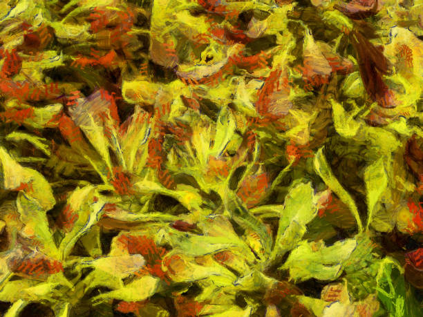 istock An ornamental shrub with beautiful leaves and various shapes Illustrations creates an impressionist style of painting. 1441008040