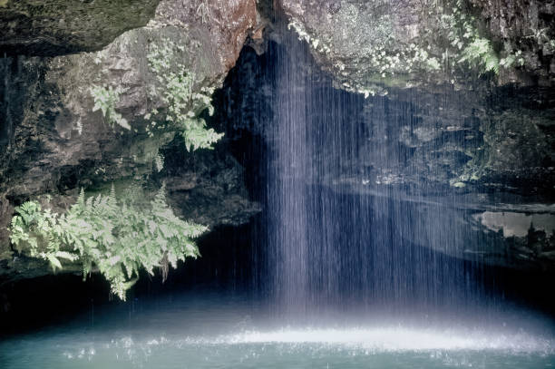 Ozarks Fern Grotto stock photo