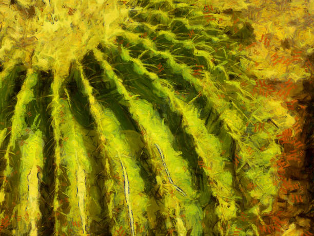 istock The cactus has a spherical shape Illustrations creates an impressionist style of painting. 1441012953