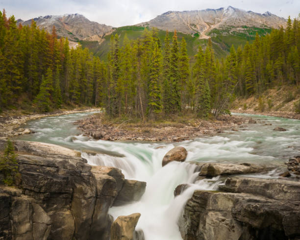 istock Sunwapta Falls in Jasper National Park, Alberta, Canada. 1441013166
