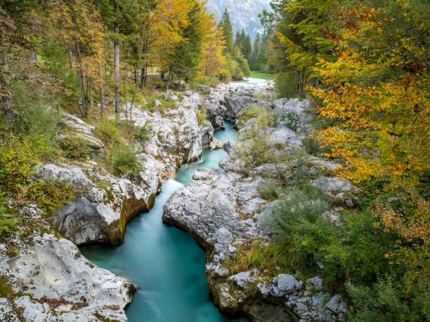 istock Mala Korita gorge, Slovenia 1441015639