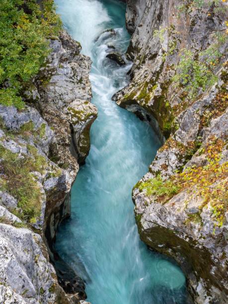 istock Velika Korita gorge, Slovenia 1441015648