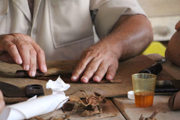 istock Cuba - Vinales - homemade cigar making 1441016524