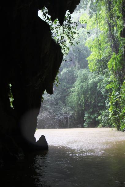 istock Cuba - vinales- Cueva del Indio ( indian cave ) 1441016727