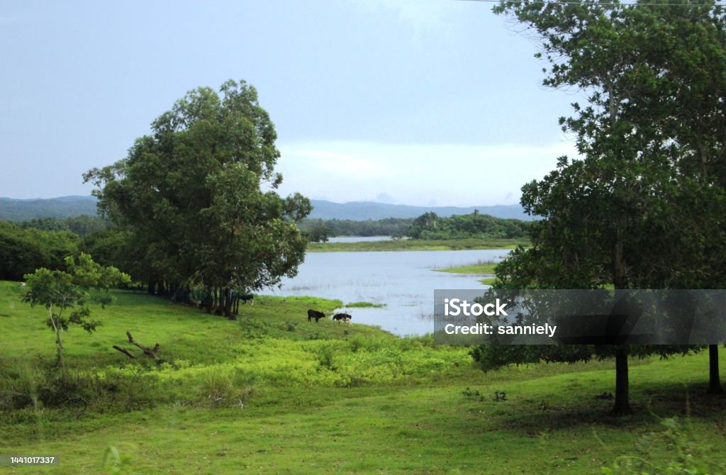 Cuba - Viñales - landscape Backgrounds Stock Photo