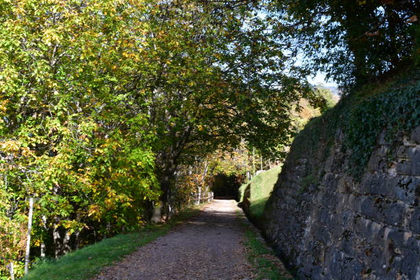 istock Hikingtrail around Montan in Southtyrol 1441018412