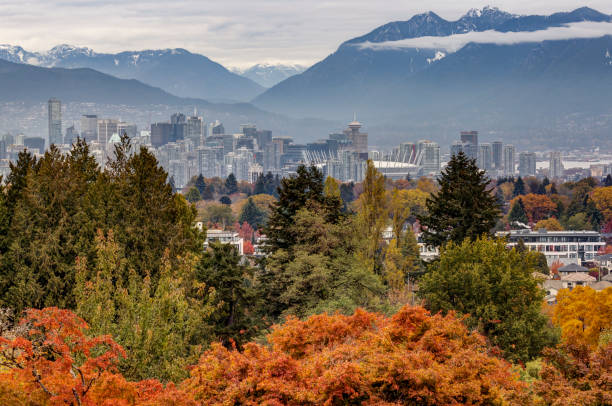 istock Vancouver city view in autumn 1441018451
