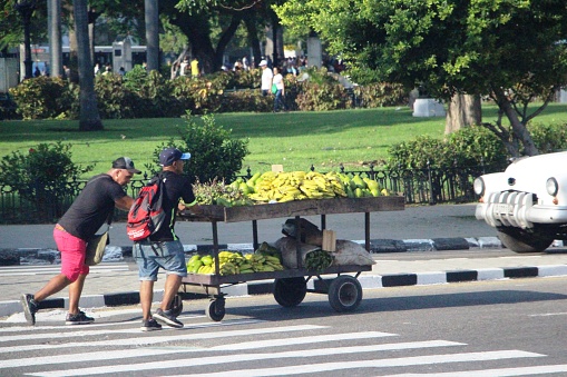 Cuba - La Havane - street scene - street vendor pushing fruit cart