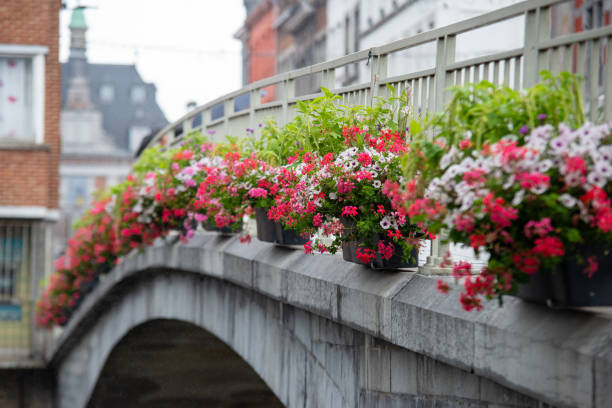 Old bridge decorated with red flowers
