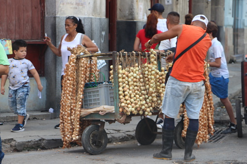 Cuba - La Havane - street scene - street oinion vendors with carretillero