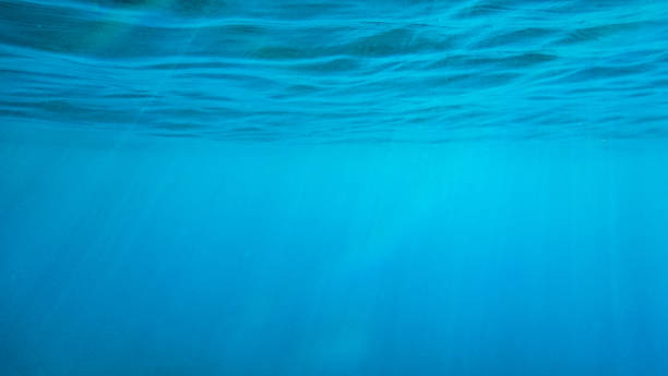 istock Idyllic shot of blue seascape 1441025288