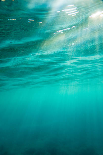istock Sunlight streaming in blue sea 1441025291