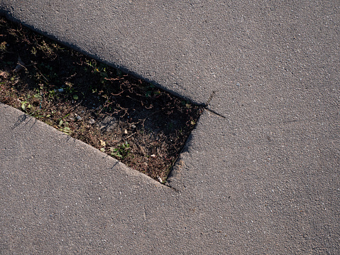 Background. Smooth rectangular hole in the asphalt. View from above. A carved hole in the asphalt through which grass grows and sand is visible. Concept background..