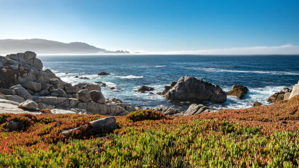 vista di pebble beach - pebble beach california foto e immagini stock