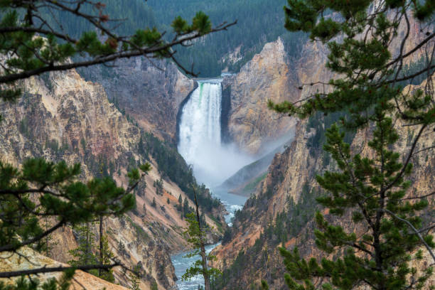 istock Grand Canyon of Yellowstone 1441032956