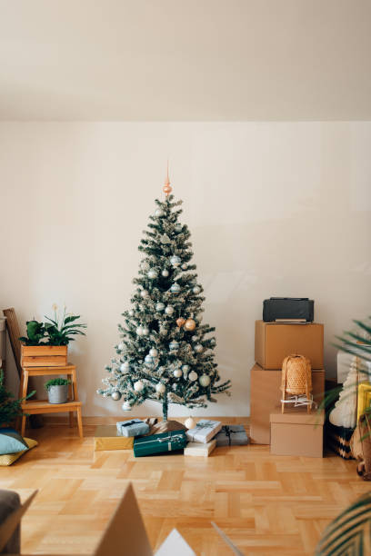 istock Moving In For Christmas In New Home 1441038064