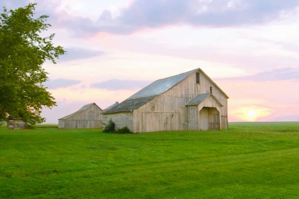 istock Old Weathered Barn at sunrise-Tipton County, Indiana 1441038216