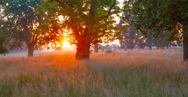 Pasture Land at sunrise-Howard County,Indiana stock photo