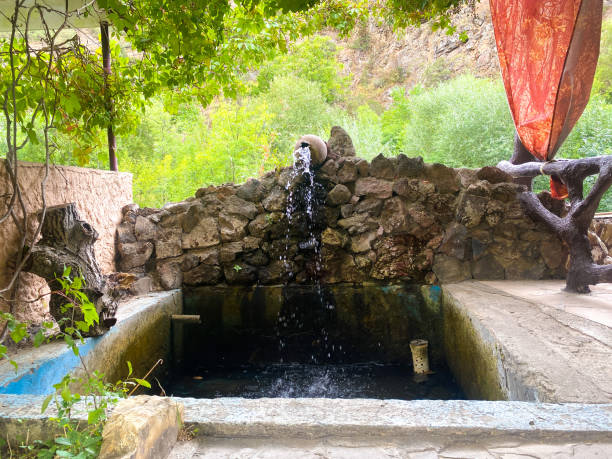 istock Drinking fountain pouring from a pitcher into a small pool 1441039343