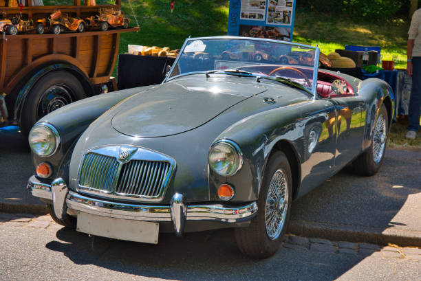 grey gray MG MGA sport coupe 1955 coupe cabrio roadster Baden-Baden, Germany - 10 July 2022: grey gray MG MGA sport coupe 1955 coupe cabrio roadster is parked in Kurpark in Baden-Baden at the exhibition of old cars "International Oldtimer Meeting Baden-Baden 2022" medium group of animals stock pictures, royalty-free photos & images