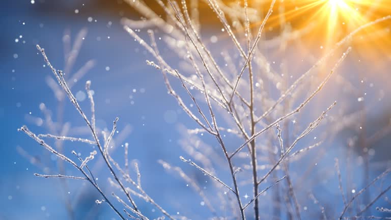 Christmas card (Loop 4k) - Snow with Glitter effect.