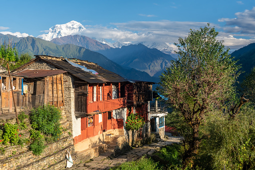 A high snow capped mountain towering over a village of wooden houses and slate roofs and stone paved paths, Dhaulagiri, the world's 7th highest, 8,167 meter, Shikha, Nepal