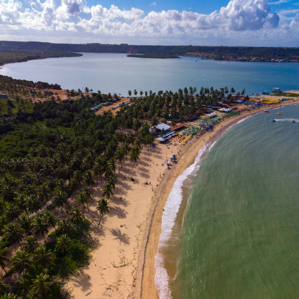 istock Gunga beach in Maceio Alagoas 1441059875