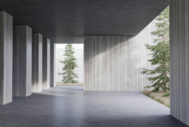 istock Modern loft style concrete terrace with pine and hay garden 3d render 1441062607