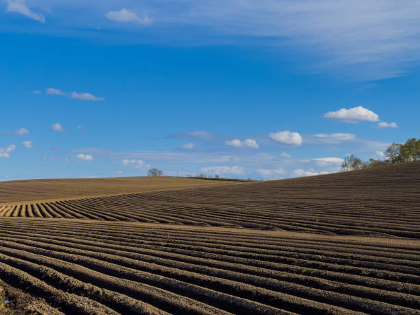istock A ridge that paints an abstract picture in a spring field 1441067118