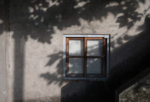 Shadow of tree on the historic house window, sunlight gently shine on the wall, in Hsinchu, Taiwan.