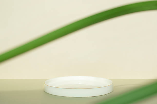 istock a platform for product photography 1441070348