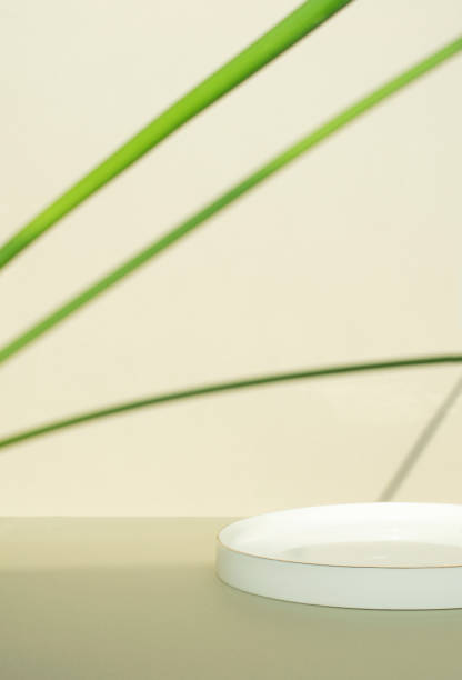 istock a platform for product photography 1441070351