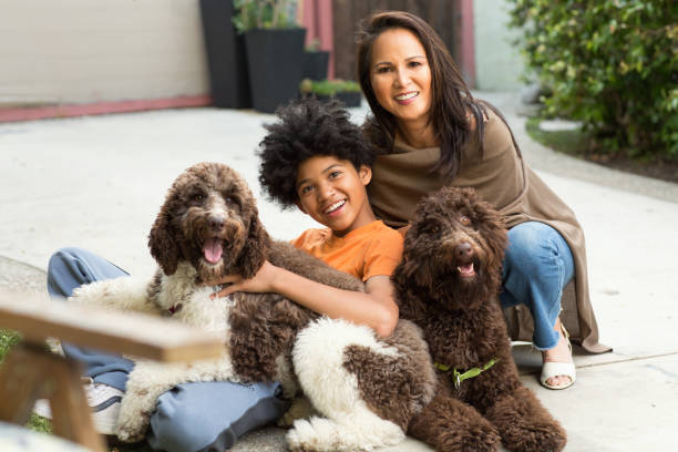 어머니와 그녀의 아들은 웃고 자신의 개와 함께 놀고있다. - dog leash pets playing 뉴스 사진 이미지