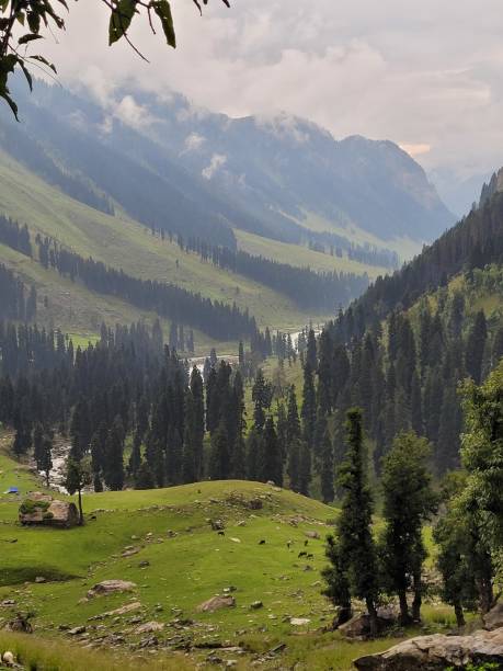 istock Tarsar Marsar Trek in Kashmir 1441075306
