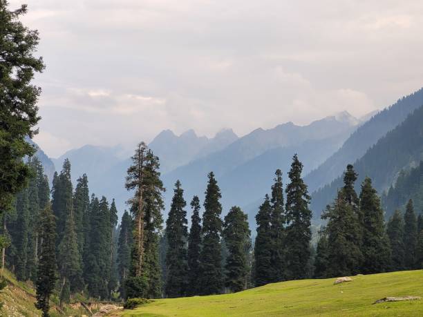 istock Tarsar Marsar Trek in Kashmir 1441075423